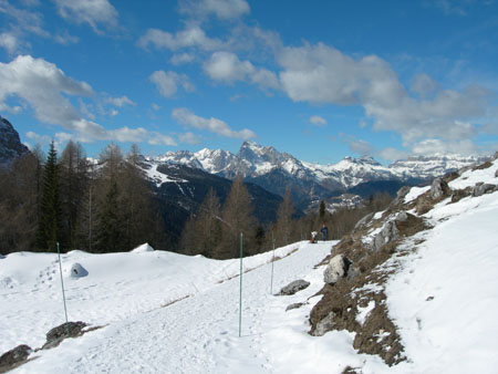 DSCN0362
