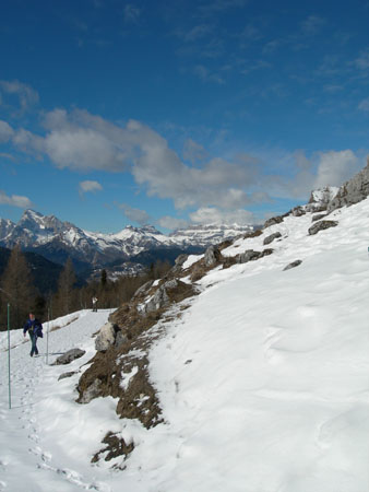 DSCN0364