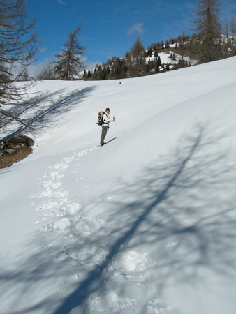 DSCN0374