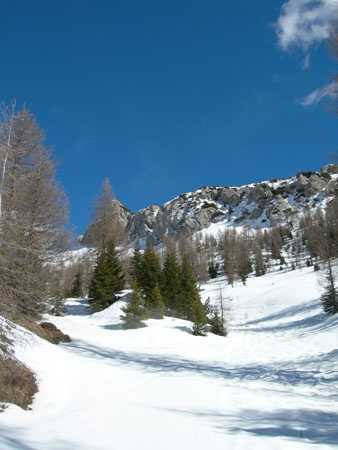 DSCN0384