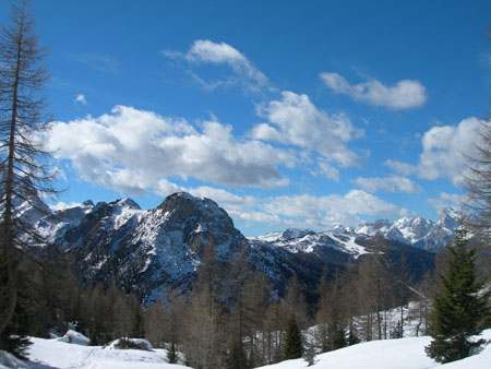 DSCN0385