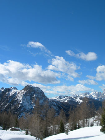 DSCN0386