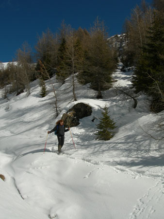 DSCN0391