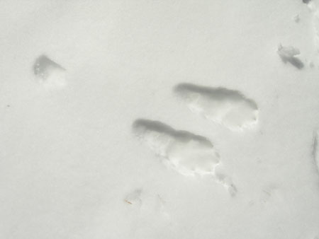 DSCN0398