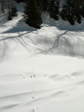 DSCN0399