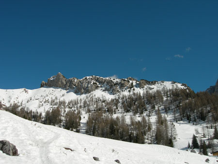 DSCN0402