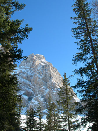 DSCN0443