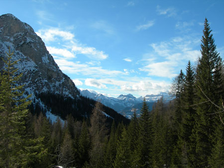 DSCN0447