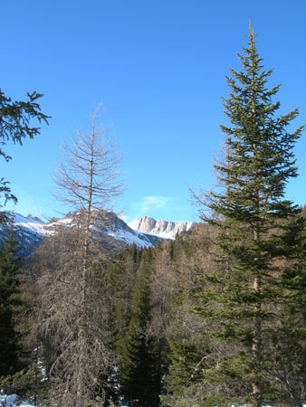 DSCN0451