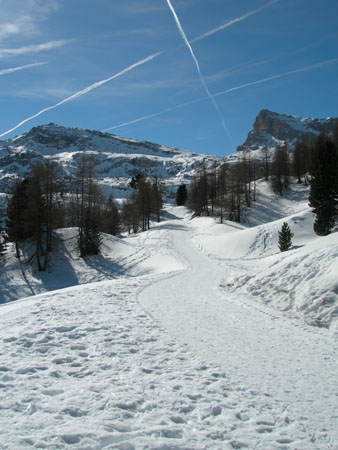 DSCN0266