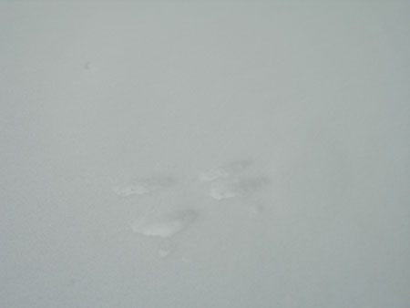 DSCN0470