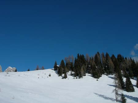 DSCN7685