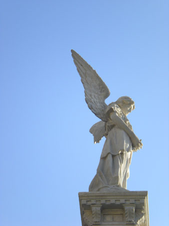 DSCN1898