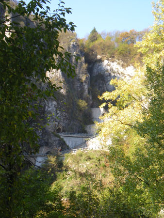 DSCN1911