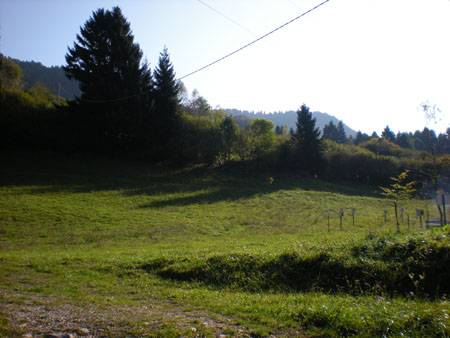 DSCN1918