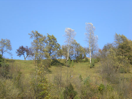 DSCN1967