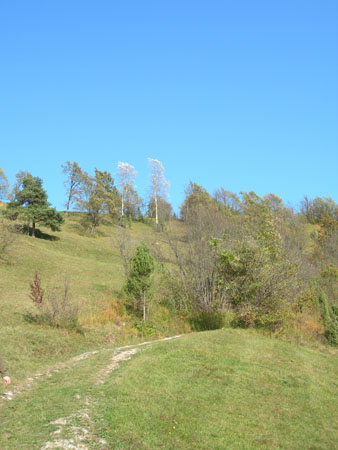 DSCN8771