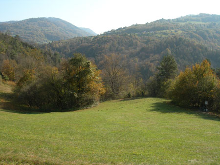 DSCN8773