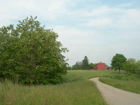 DSCN9563