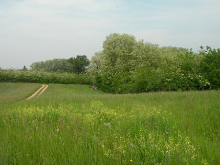 DSCN9573