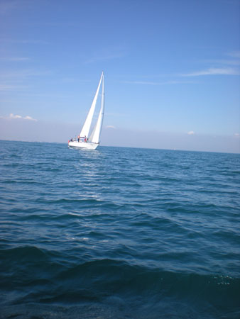 DSCN5584