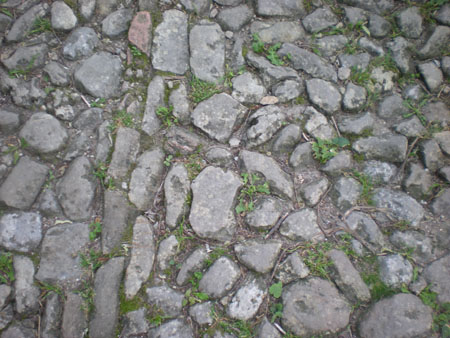 DSCN6212