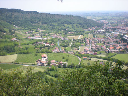 DSCN6222