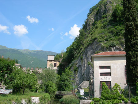 DSCN9600