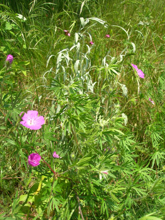DSCN9674
