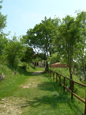 DSCN9740