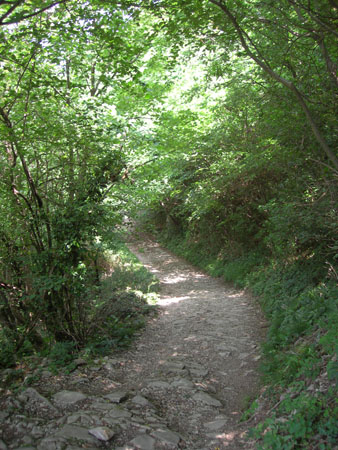 DSCN9749