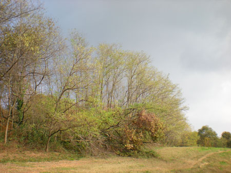 DSCN2299