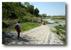 il Piave lungo la linea del fronte
