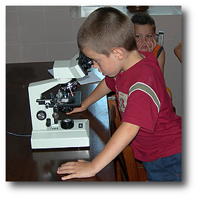 osservazioni al microscopio