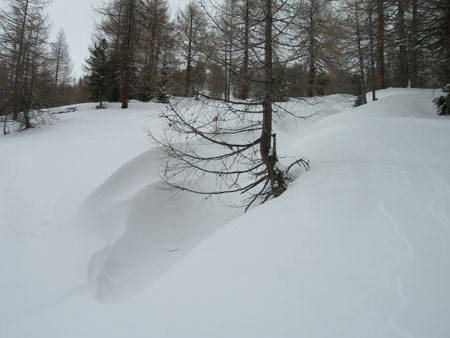 DSCN9875