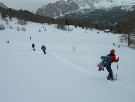 DSCN9881