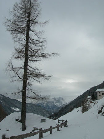 DSCN9934