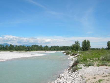 DSCN0877