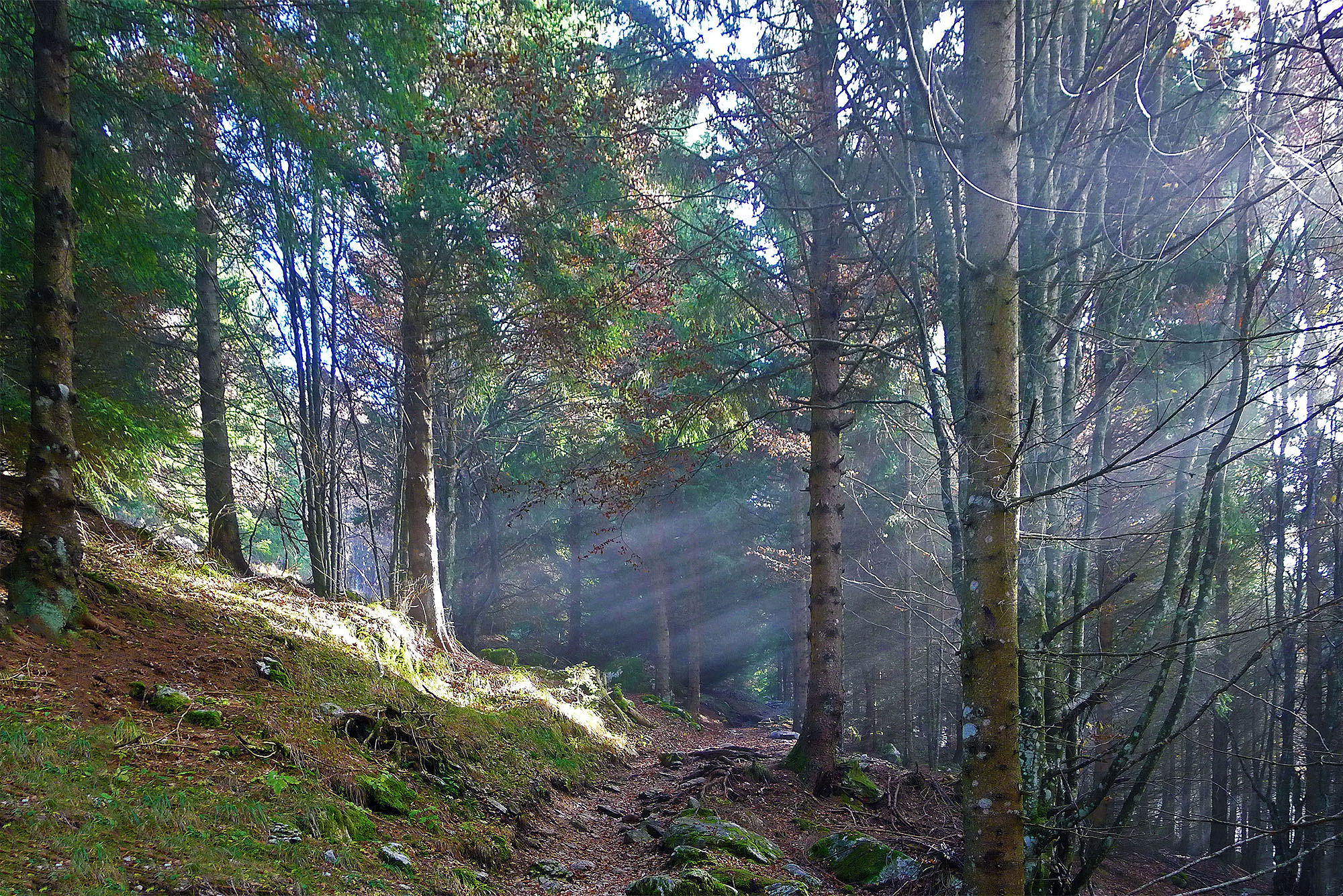 Autumn hike in Cansiglio and Palantina (BL)