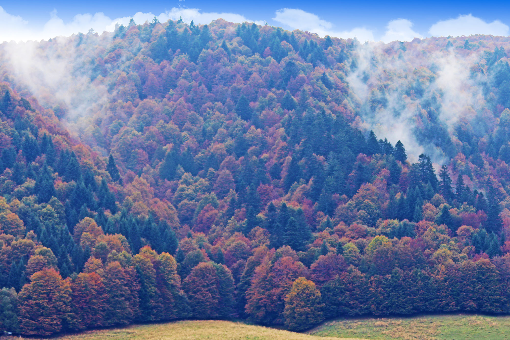 Autumn hike in Cansiglio and Palantina (BL)