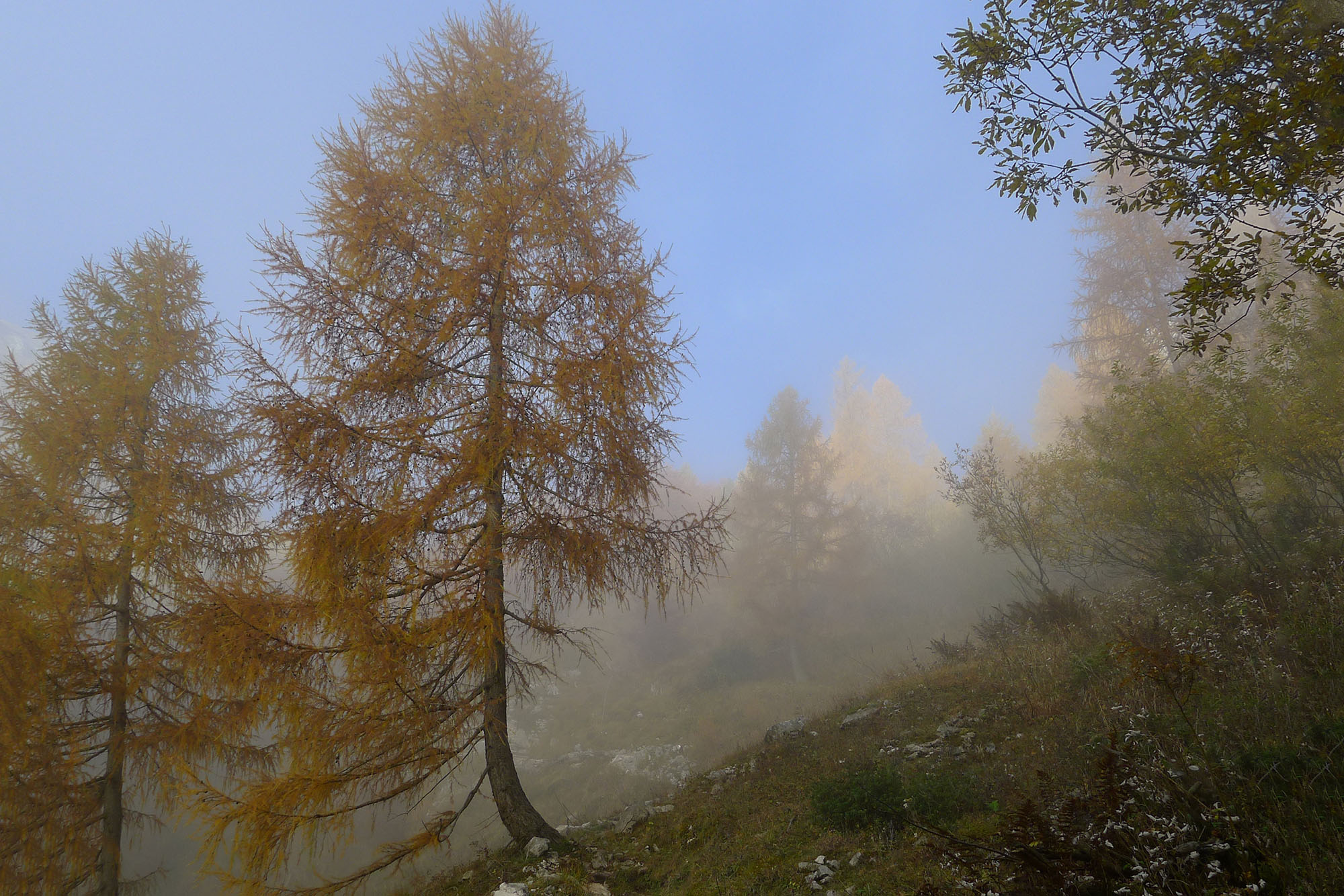 Autumn hike in Cansiglio and Palantina (BL)
