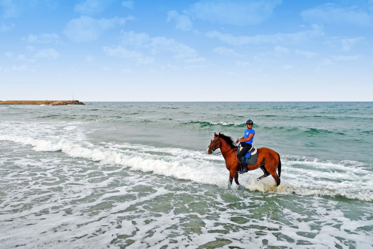 equitazione passeggiata a cavallo riva mare Sardegna