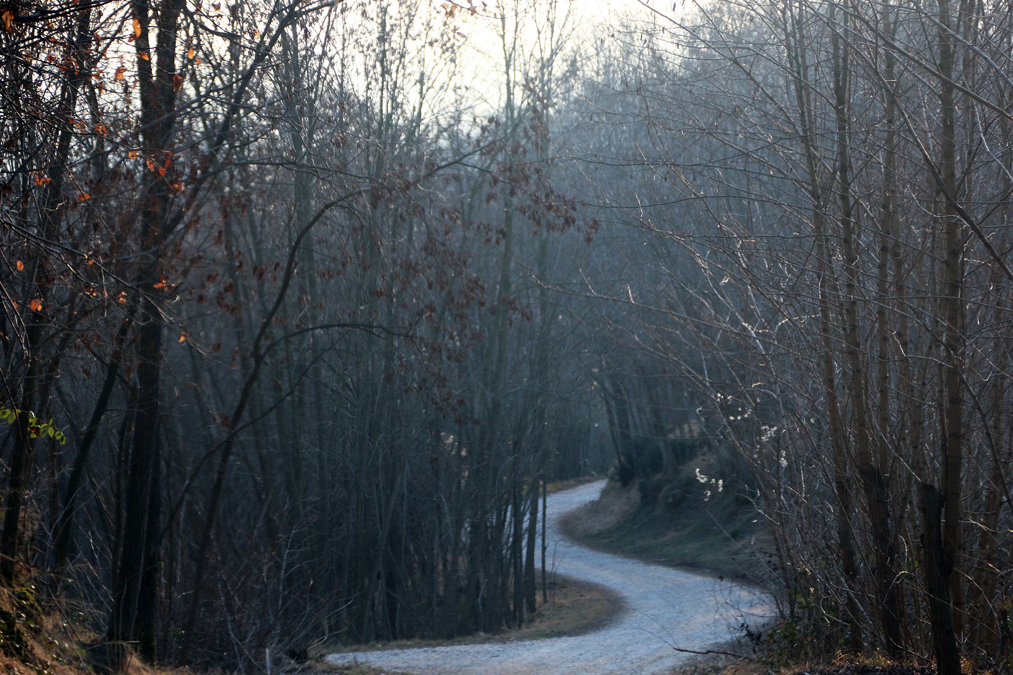 Santa Lucia trek on Montello – Halloween and Celtic New Year