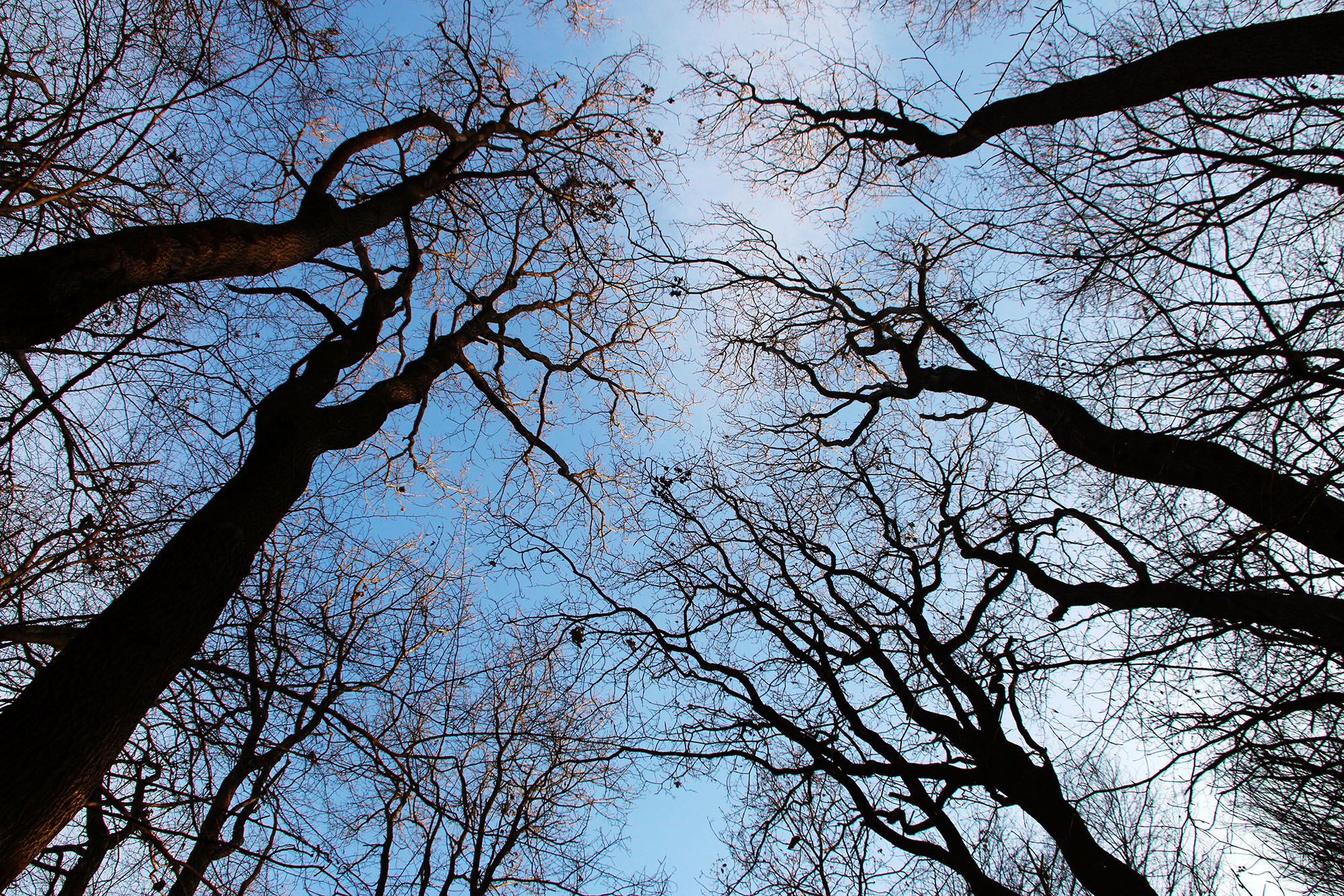 Santa Lucia trek on Montello – Halloween and Celtic New Year
