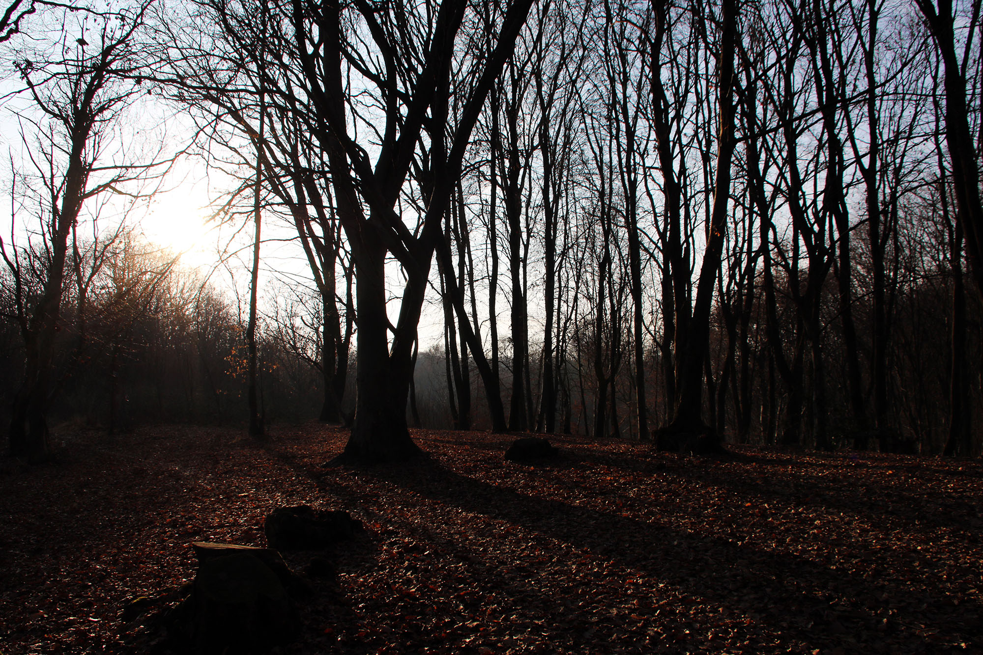 Santa Lucia trek on Montello – Halloween and Celtic New Year