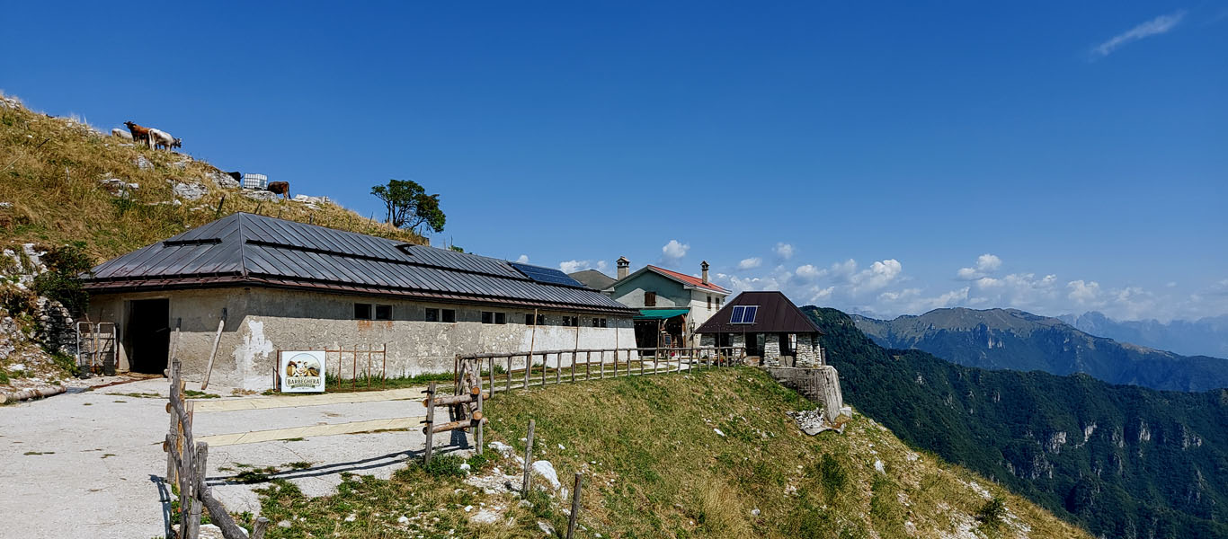 Loop trek between Monte Tomba and Monte Palon, Malga Barbeghera (BL)