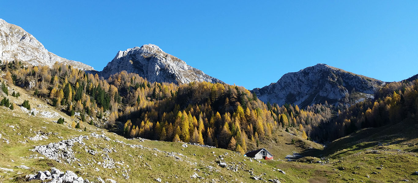 Autumn hike in Cansiglio and Palantina (BL)
