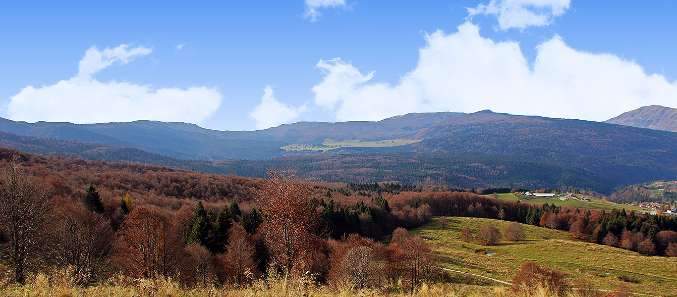 Autumn hike in Cansiglio and Palantina (BL)