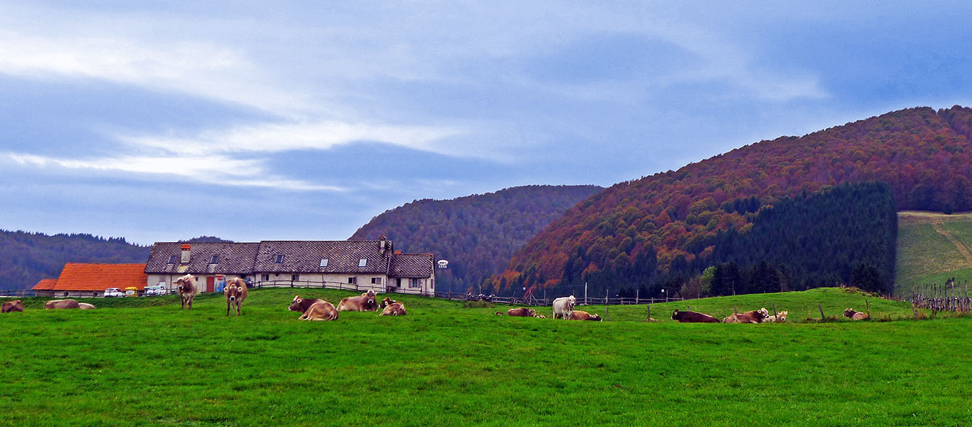 Autumn hike in Cansiglio and Palantina (BL)