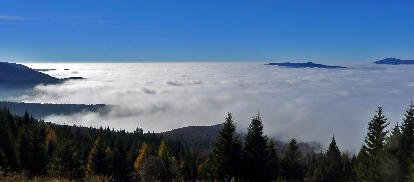 Autumn hike in Cansiglio and Palantina (BL)